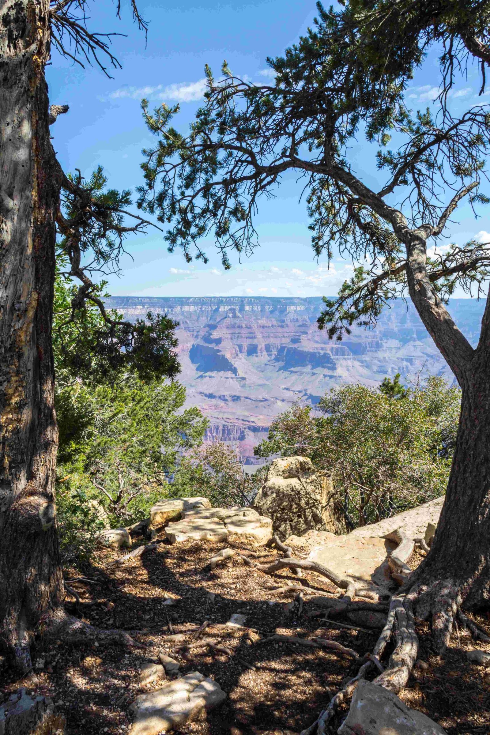 helikopterflug ber den grand canyon