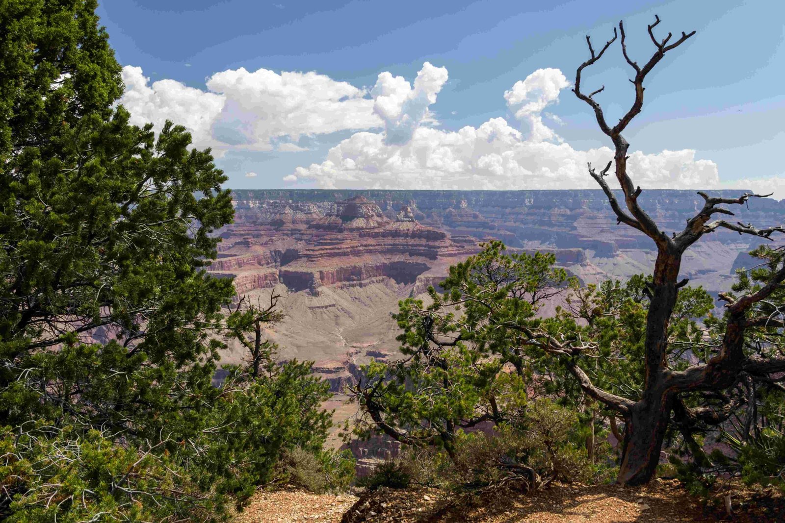 eagle and guano point grand canyon