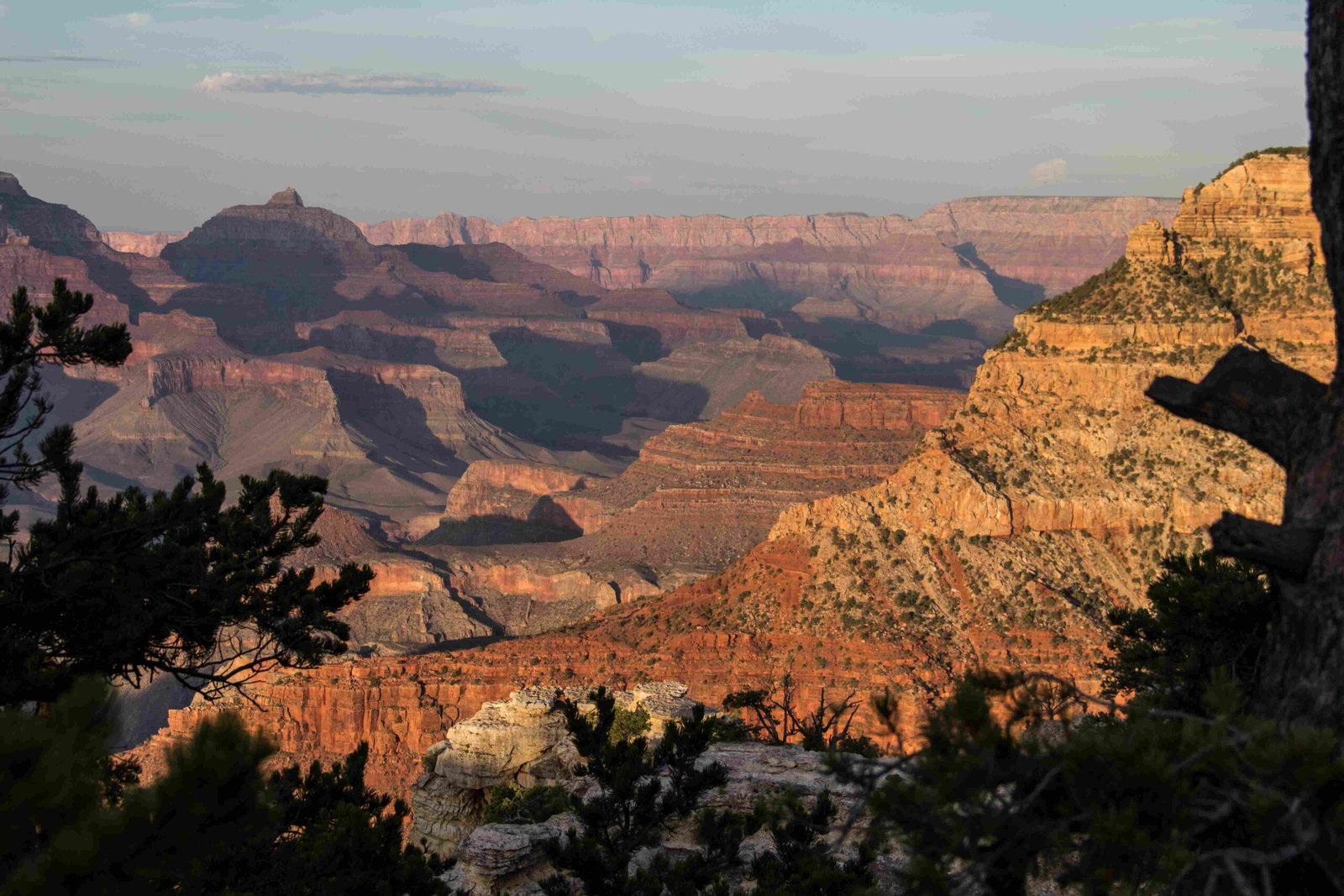 what evidence did young uncover about the grand canyon