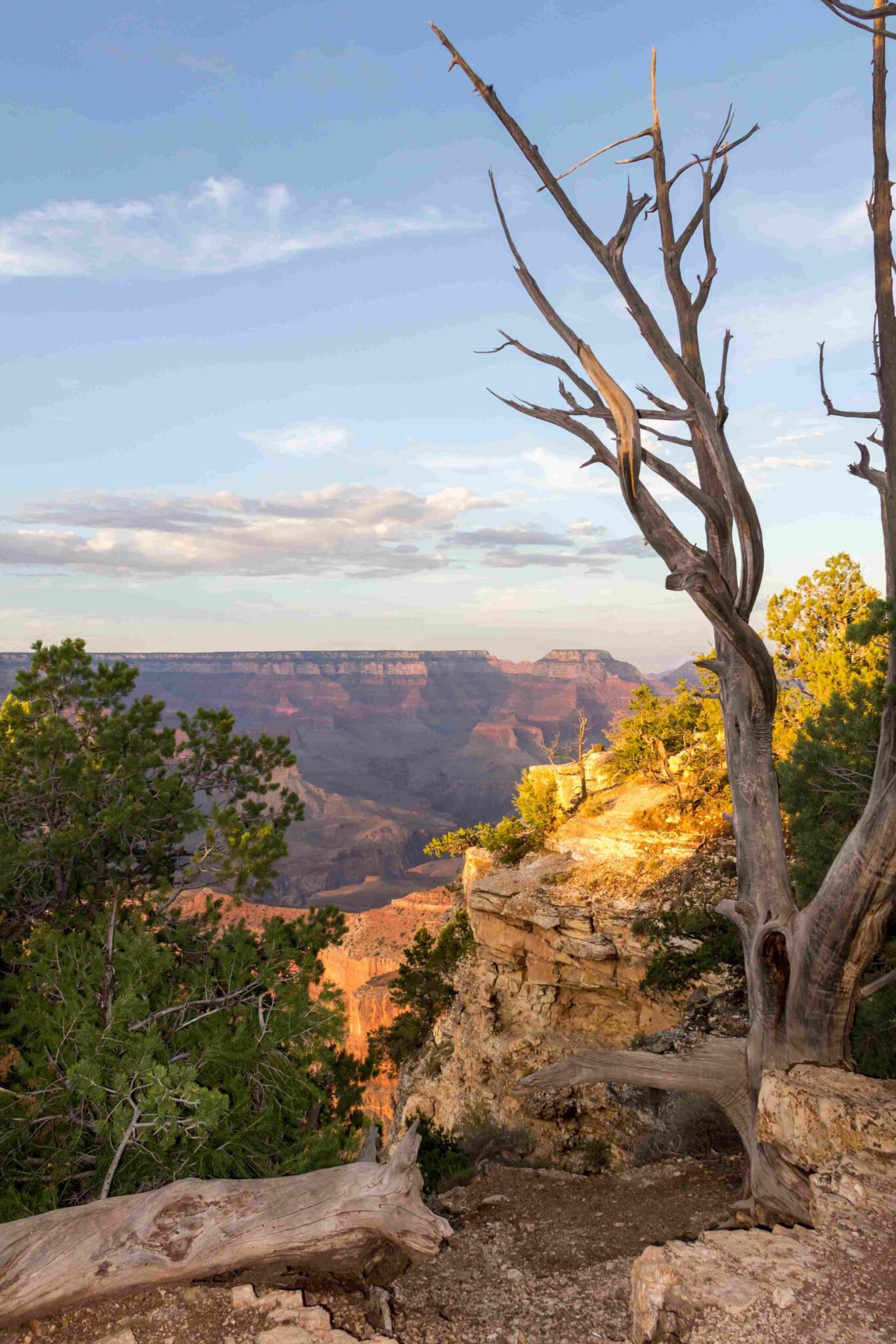 How did the grand canyon begin a geological journey through time