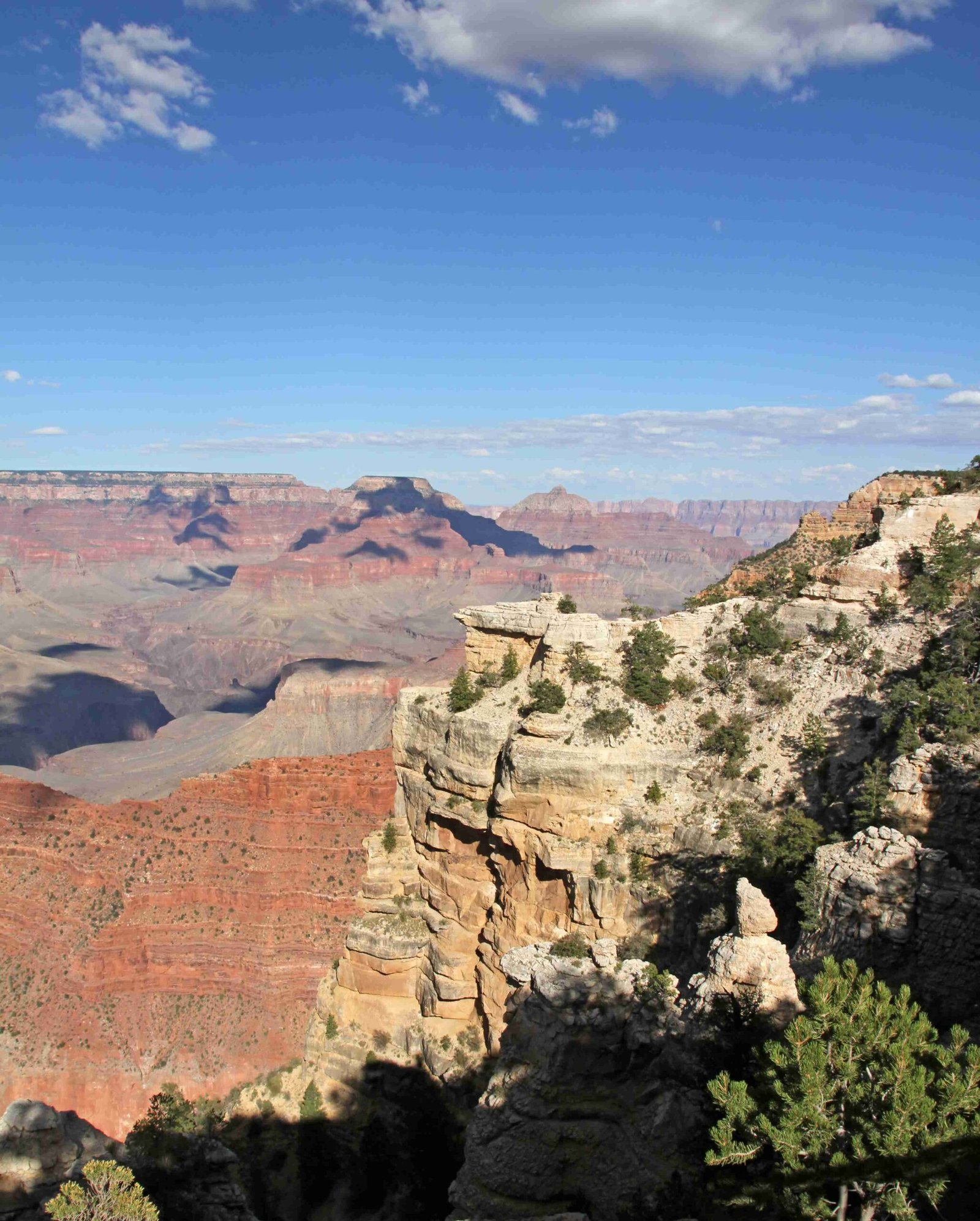 how teddy roosevelt saved the grand canyon from developers