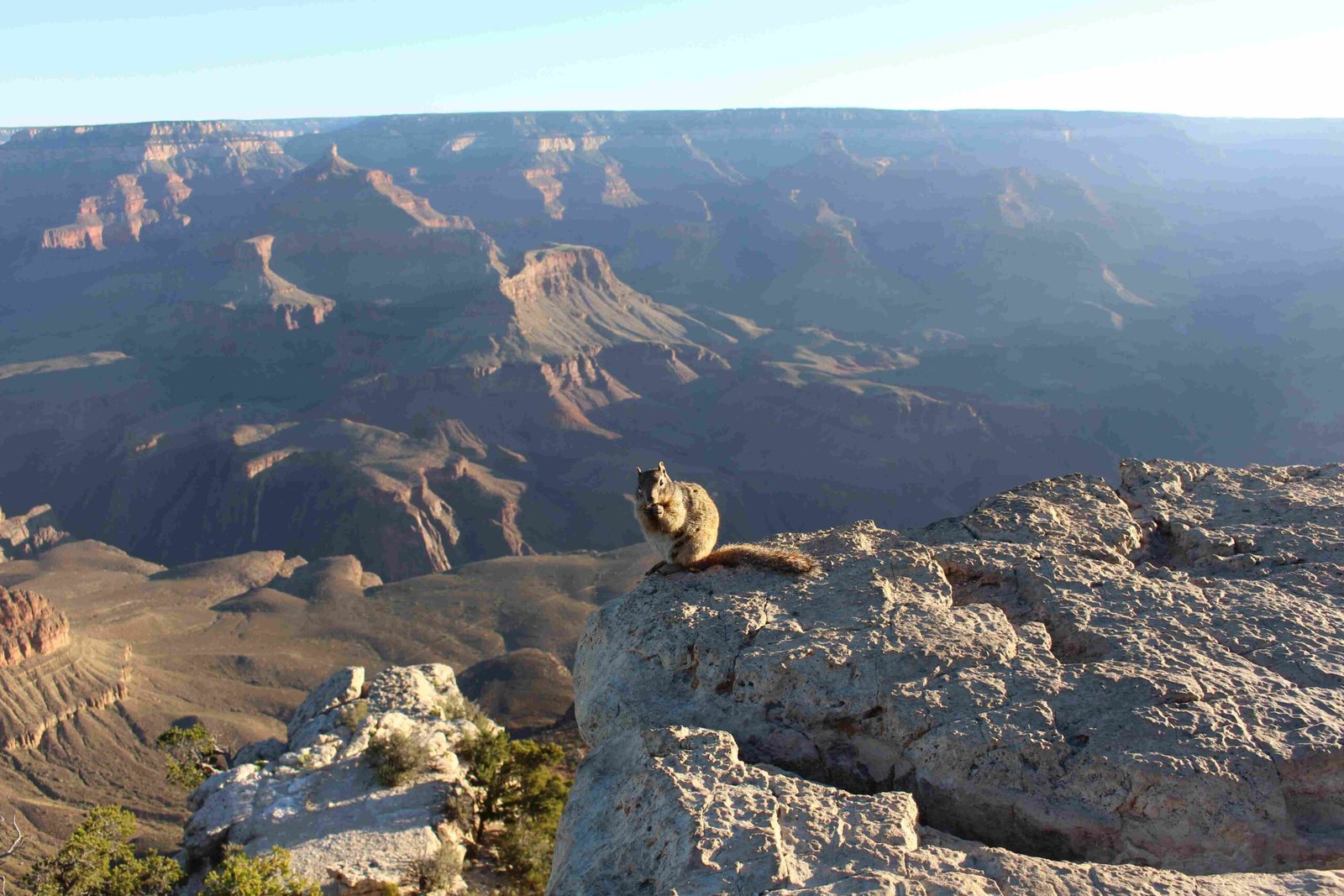 Grand Canyon 29 scaled