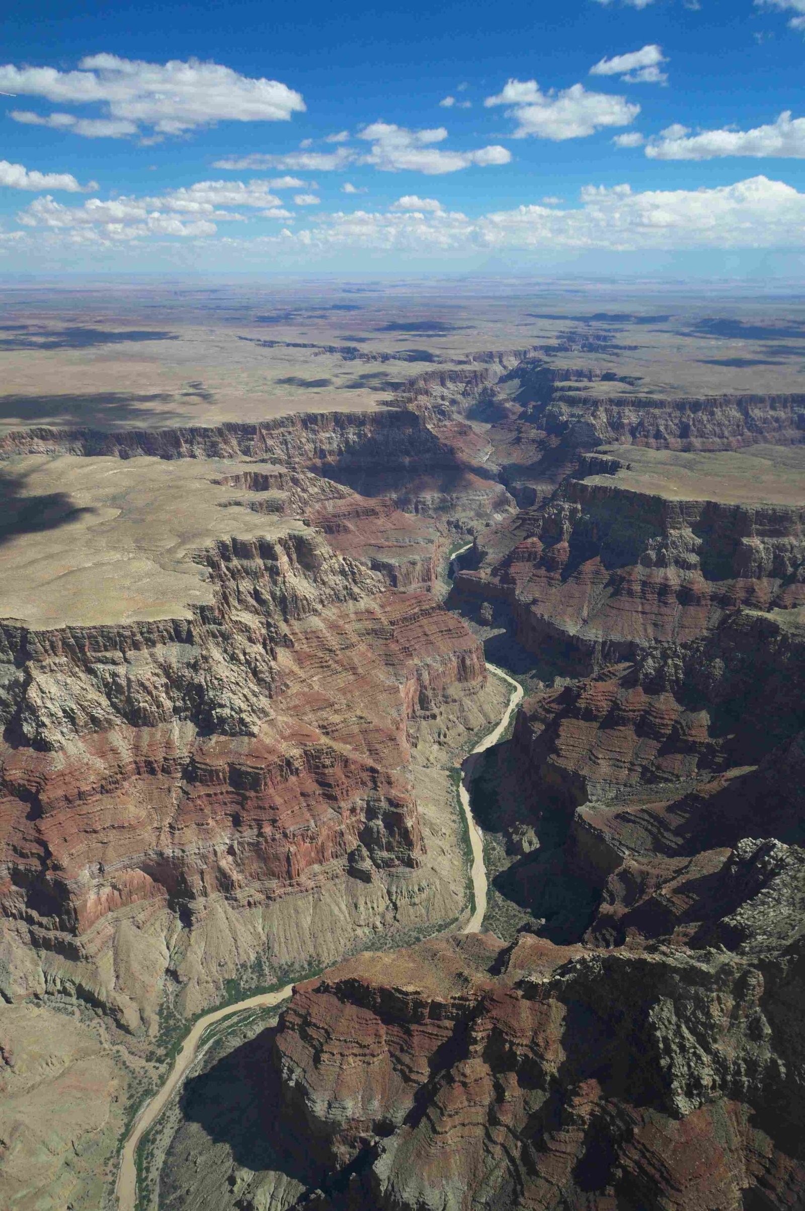 trout fishing near grand canyon