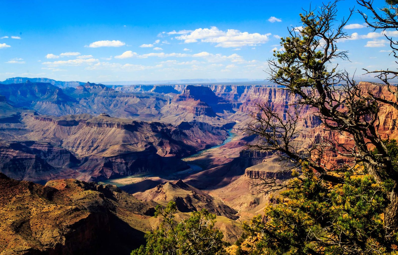 grand canyon national park conservation efforts